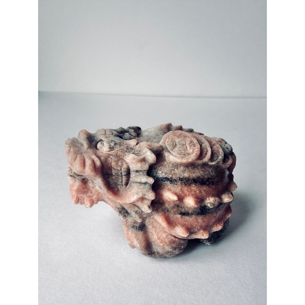 Carved Stone Dragon Turtle Style Guardian Figurine Foo Dog Feng Shui Decor